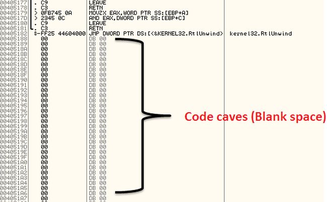 Empty Regions Code caves in Target